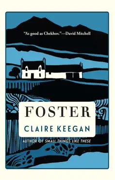 foster book cover image
