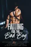 Falling for the Bad Boy Collection book summary, reviews and download