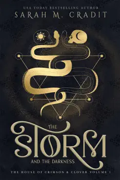 the storm and the darkness book cover image