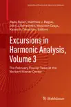 Excursions in Harmonic Analysis, Volume 3 synopsis, comments