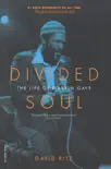 Divided Soul e-book