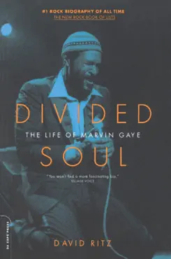 divided soul book cover image