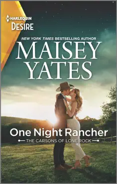 one night rancher book cover image