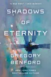 Shadows of Eternity synopsis, comments