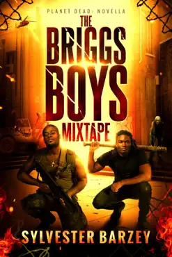 the briggs boys mixtape book cover image