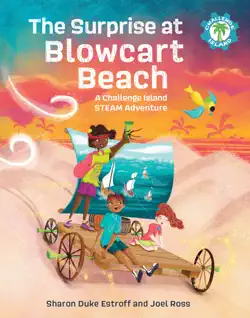 the surprise at blowcart beach book cover image