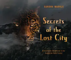 secrets of the lost city book cover image