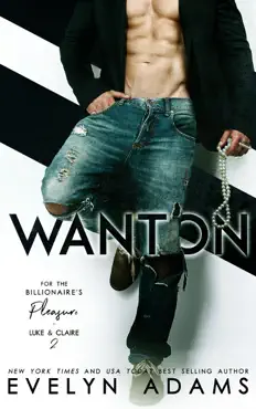 wanton book cover image