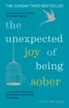 The Unexpected Joy of Being Sober book summary, reviews and download