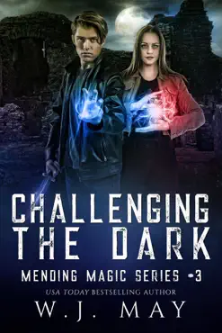 challenging the dark book cover image