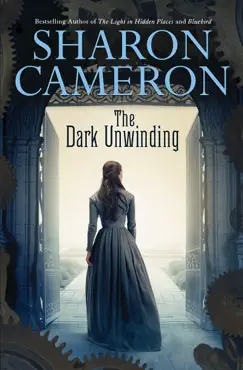 the dark unwinding book cover image