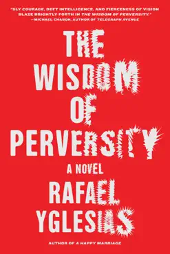 the wisdom of perversity book cover image