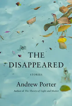 the disappeared book cover image