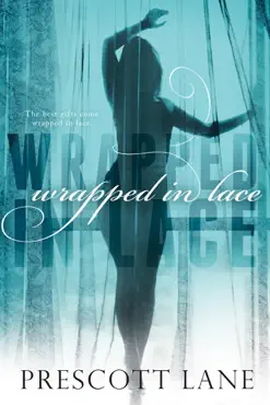 wrapped in lace book cover image