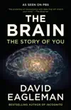 The Brain synopsis, comments