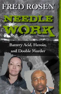 needle work book cover image