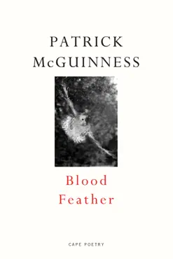 blood feather imagen de la portada del libro