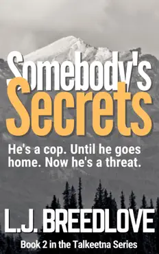 somebody's secrets book cover image