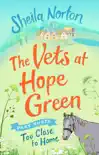 The Vets at Hope Green: Part Three sinopsis y comentarios