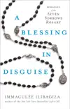 A Blessing in Disguise synopsis, comments