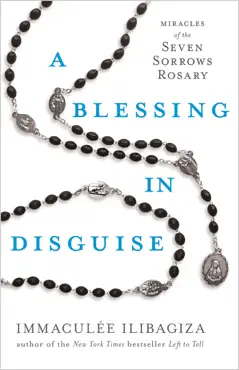a blessing in disguise book cover image