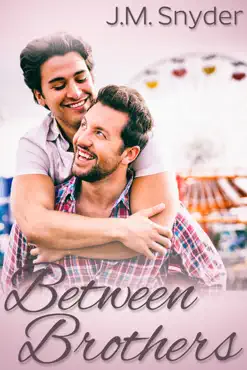 between brothers book cover image