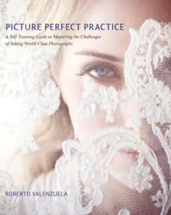 picture perfect practice book cover image