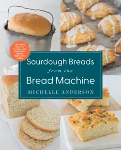 sourdough breads from the bread machine book cover image
