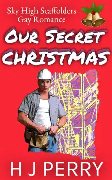 our secret christmas book cover image