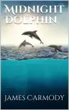 Midnight Dolphin sinopsis y comentarios