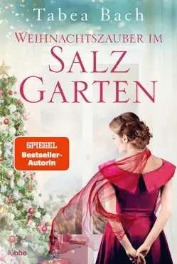 weihnachtszauber im salzgarten imagen de la portada del libro