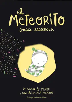 el meteorito imagen de la portada del libro