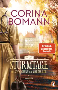 sturmtage book cover image