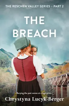 the breach book cover image
