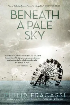 beneath a pale sky book cover image