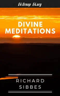 divine meditations imagen de la portada del libro