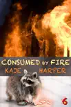 Consumed by Fire synopsis, comments