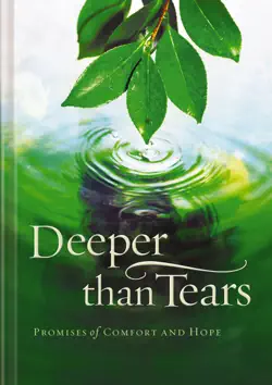 deeper than tears book cover image