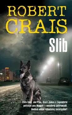 slib book cover image