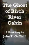 The Ghost of Birch River Cabin synopsis, comments