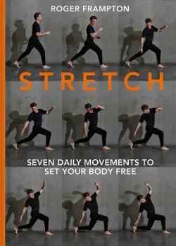 stretch book cover image