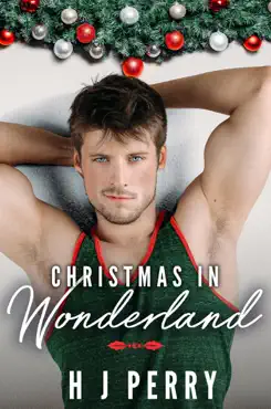 christmas in wonderland book cover image