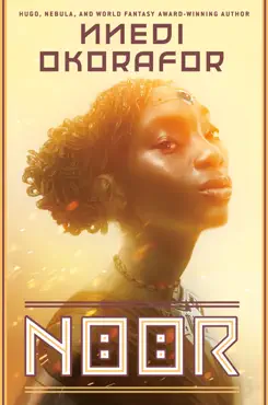 noor book cover image
