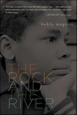 the rock and the river book cover image