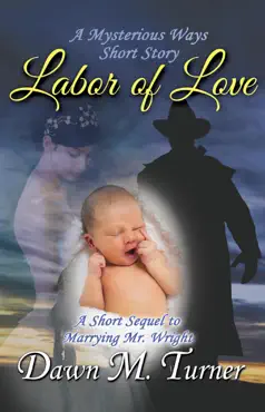 labor of love book cover image