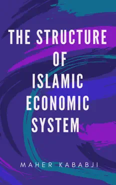 the structure of islamic economic system imagen de la portada del libro