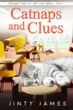 Catnaps and Clues synopsis, comments