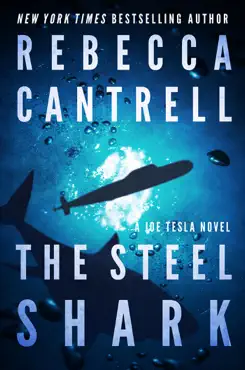 the steel shark book cover image