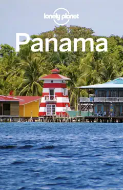 panama 9 book cover image