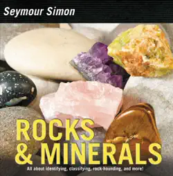 rocks & minerals book cover image